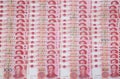 100 RMB Ã¯Â¼ÅYuan banknotes from China`s currency. Royalty Free Stock Photo